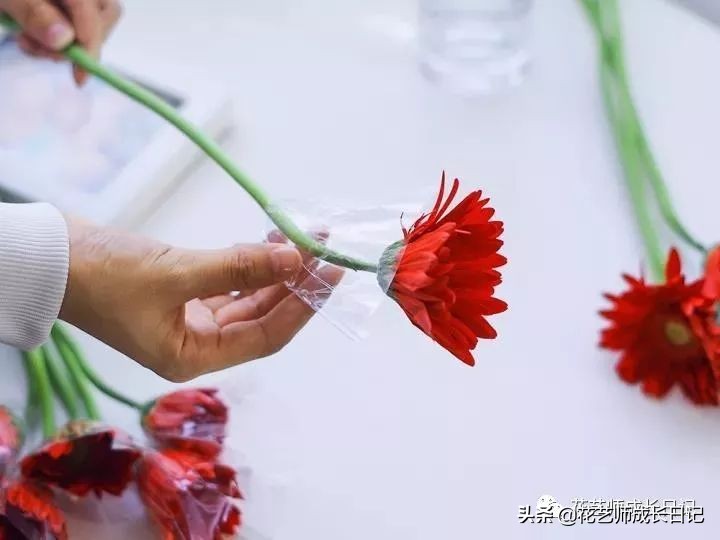 开花店花材损耗,花店新到花材如何打理