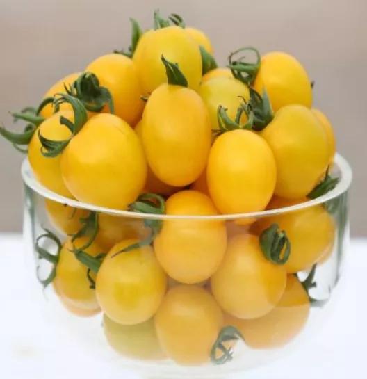 端午食博会暨特点农产品展13日开幕！绵乐眉成达资都来了