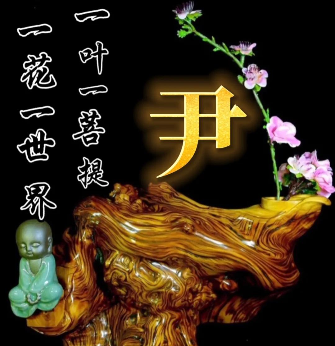 一花一世界一叶一菩提头像,一叶一菩提禅意微信头像