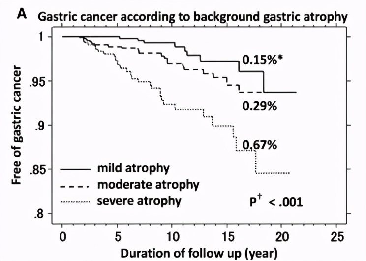 幽门螺杆菌根除指南最新版,确诊幽门螺杆菌哪种方法最准确