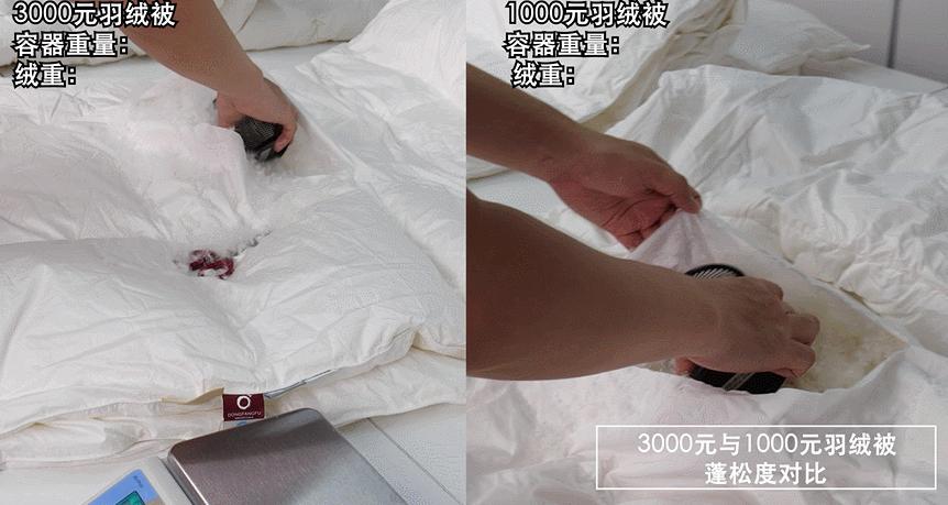 羽绒被行业骗局揭秘,羽绒被的十大骗局