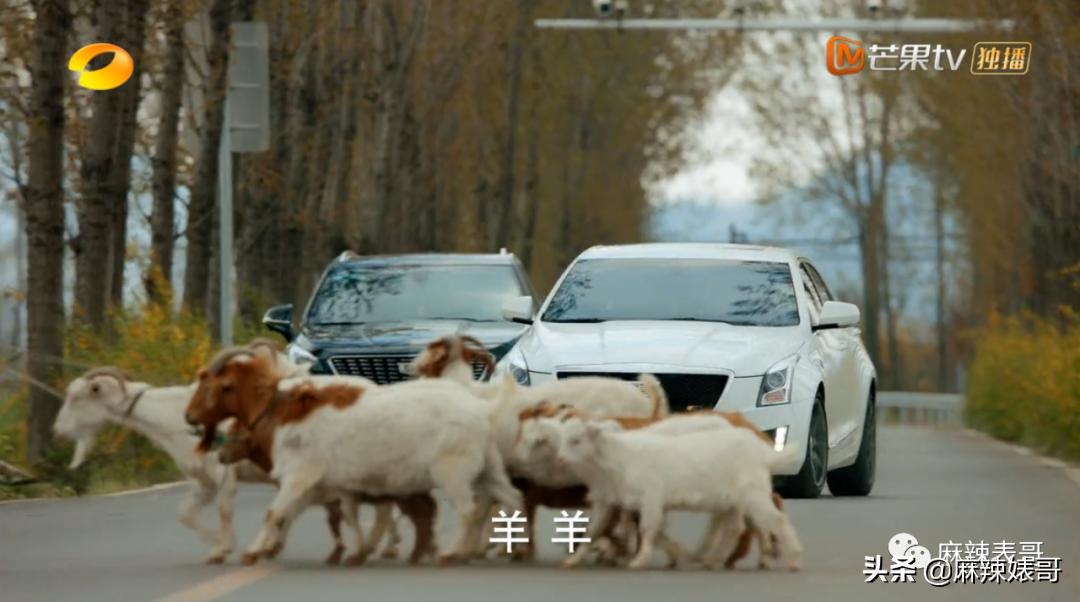 扶贫剧是什么,啥是扶贫剧