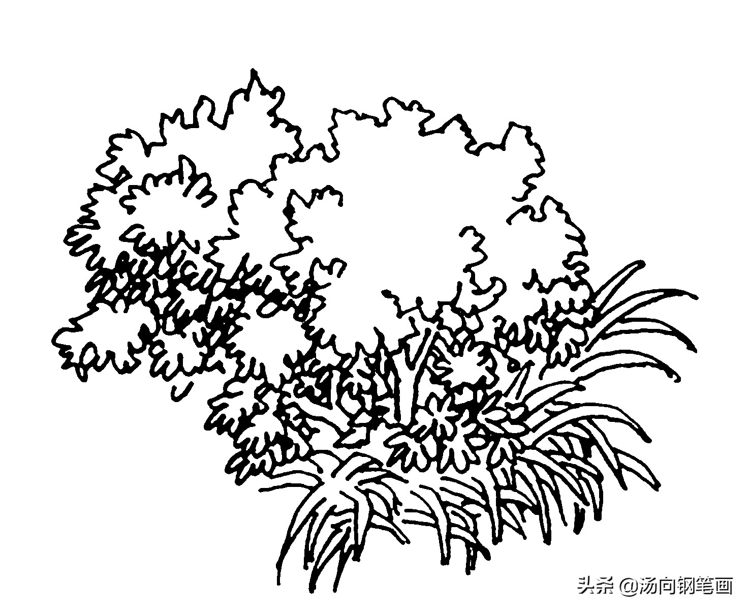 钢笔画入门教程100例,零基础钢笔画入门教程树枝组合