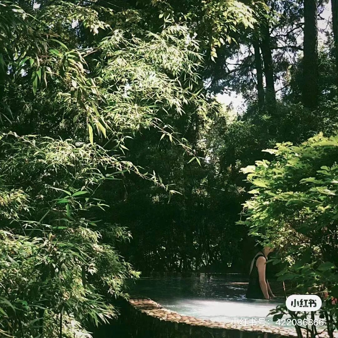 昆明避暑冷惨了外省人,昆明过冬真实感受