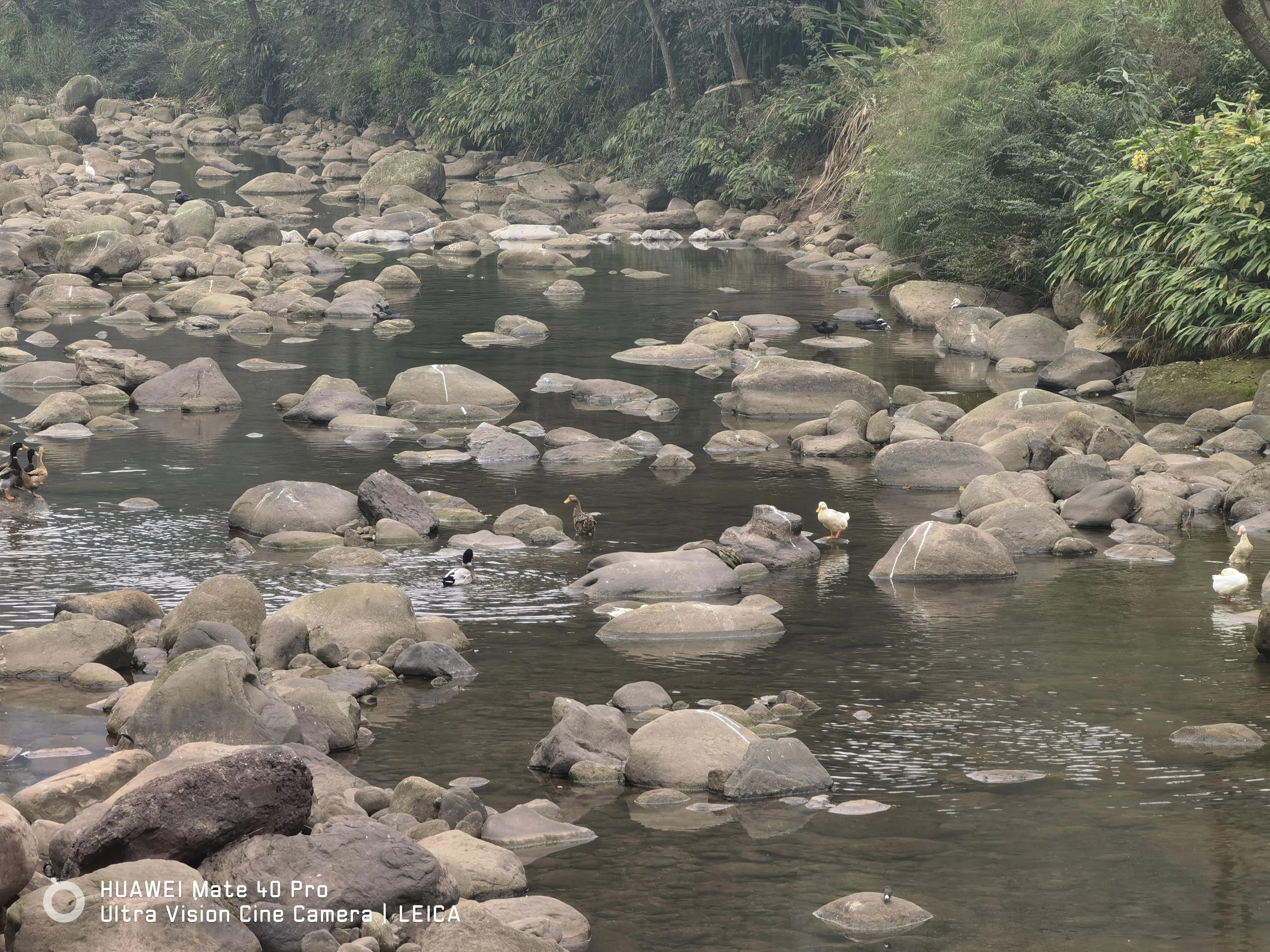 驻村干部都干些什么,驻村干部主要是干什么的