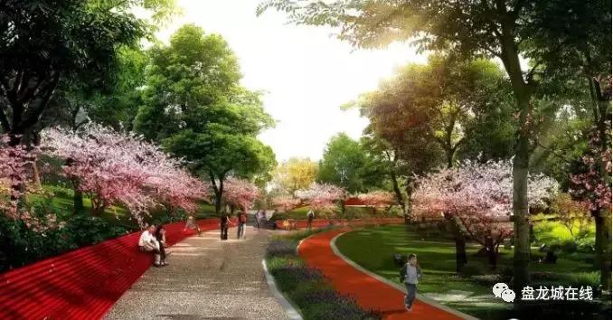 盘龙城足球俱乐部训练基地,盘龙城体育学院