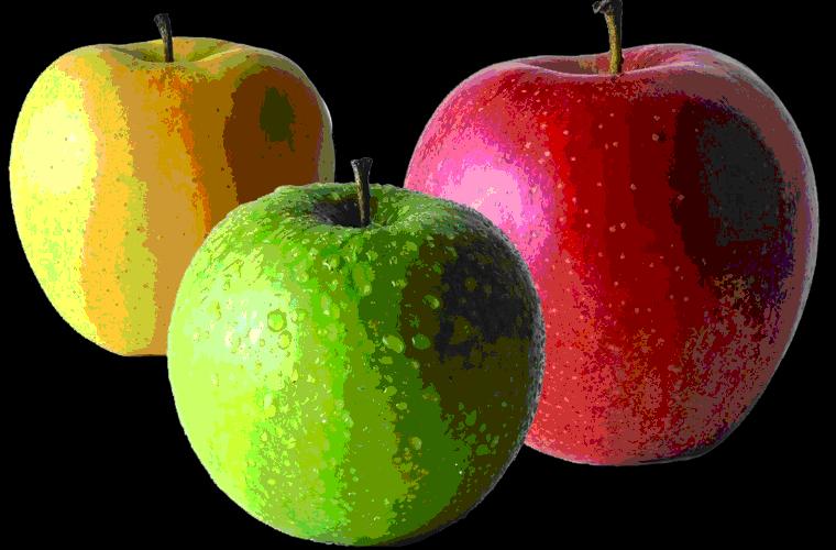 大年初五群相册，有群的都看看，太美了，这辈子见一次值了