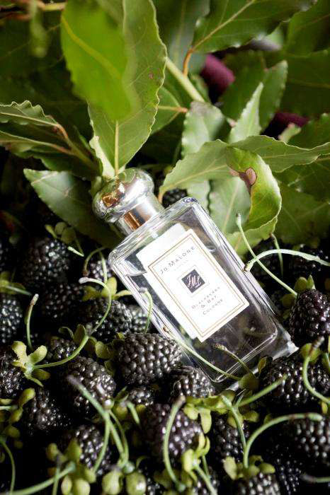 撞香比撞衫更可怕！轻*女熟**必备这7款小*香众**水，闺蜜都羡慕你的美