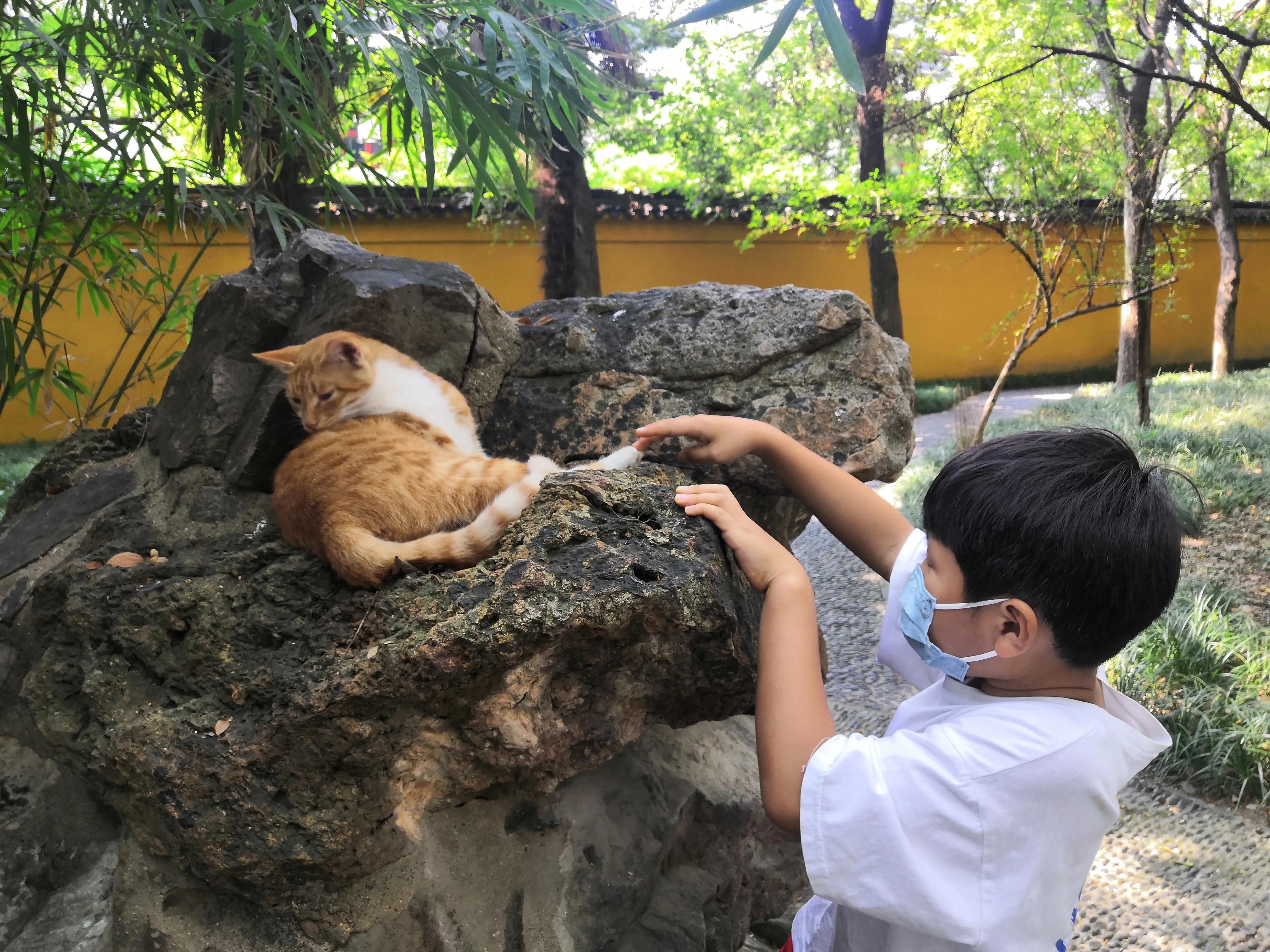 苏州西园寺值得一去吗,苏州西园寺旅游攻略