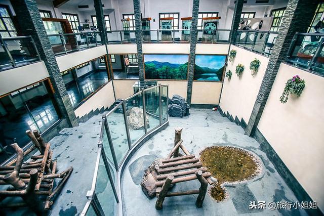 天目湖加南山竹海哪里泡温泉好,天目湖度假秘境享用绝美自然山水