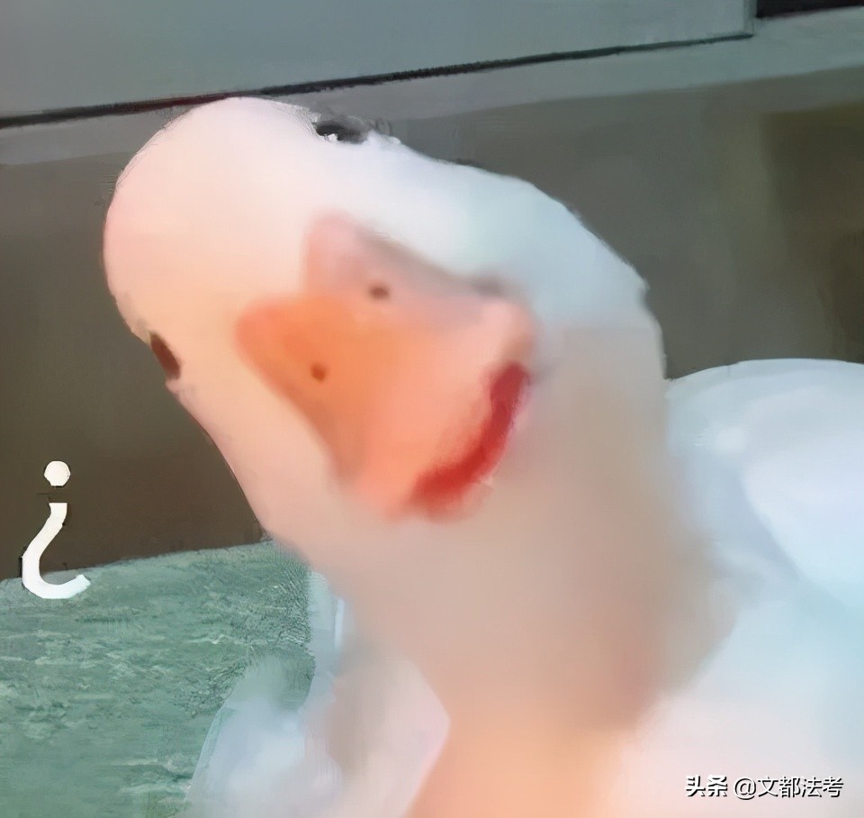 法考客观题和主观题哪个容易过,法考客观题没过可以报名主观题吗