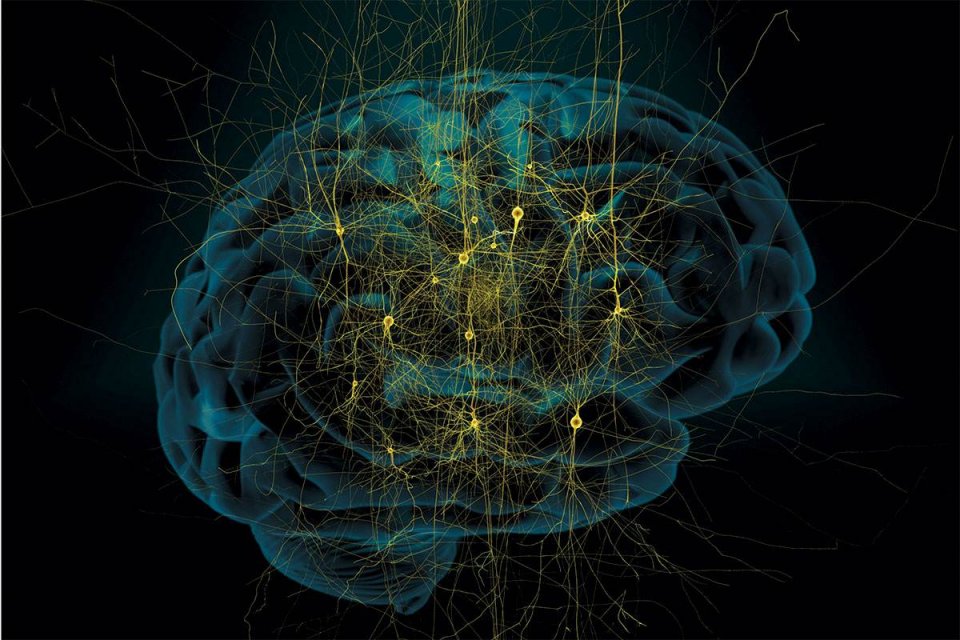 大脑的神秘现象,大脑意识之谜