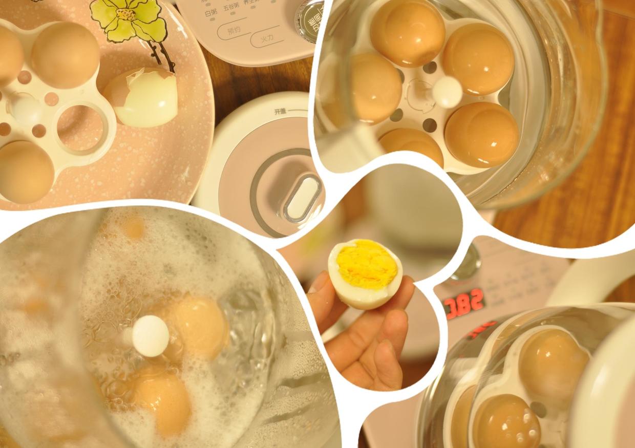 小熊养生壶全自动多功能家用小型,养生壶小熊机械款