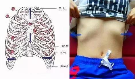 求实瑜伽丨肋骨外翻不止影响美观？！如何高效解决肋骨外翻？