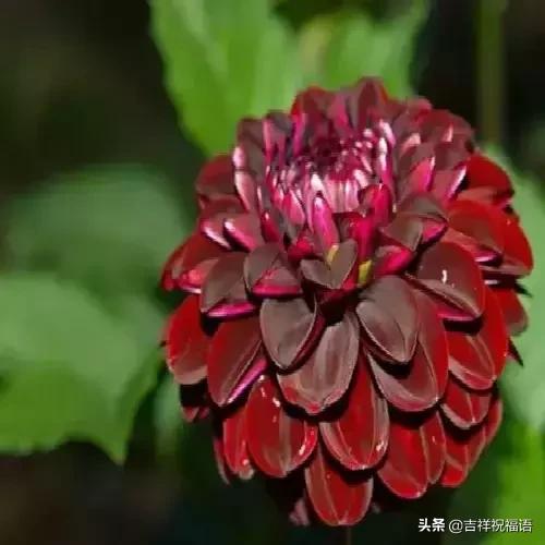 经典永远堪称经典,经典中的经典回味经典