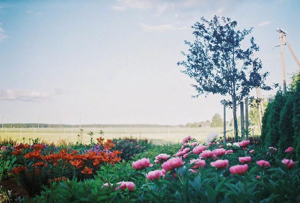 一年四季光阴流转的诗句,诗词陪我们走过人生的四季