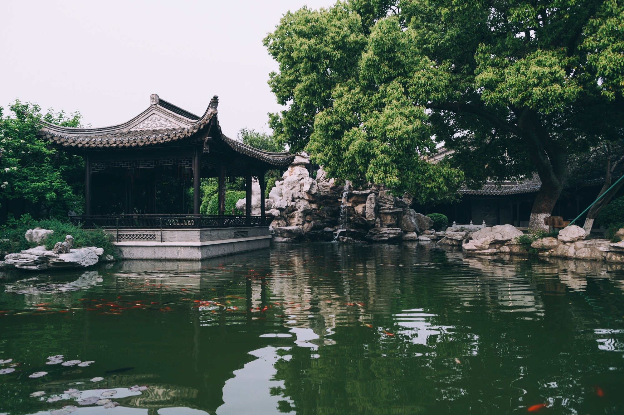 江苏有三座闻名于世的百年雕花楼,泰州雕花楼景区什么时候建的