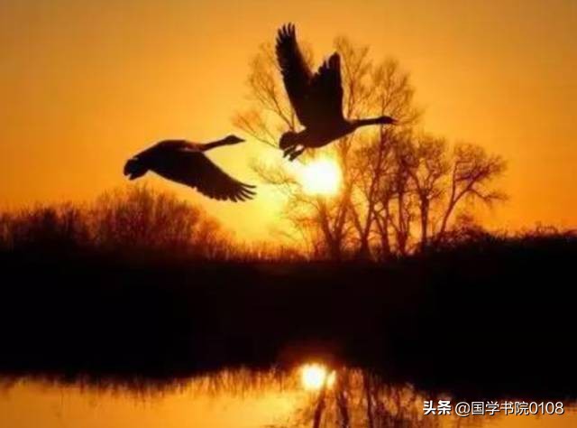 王维禅诗中的禅意表现,禅诗有禅意细细品味