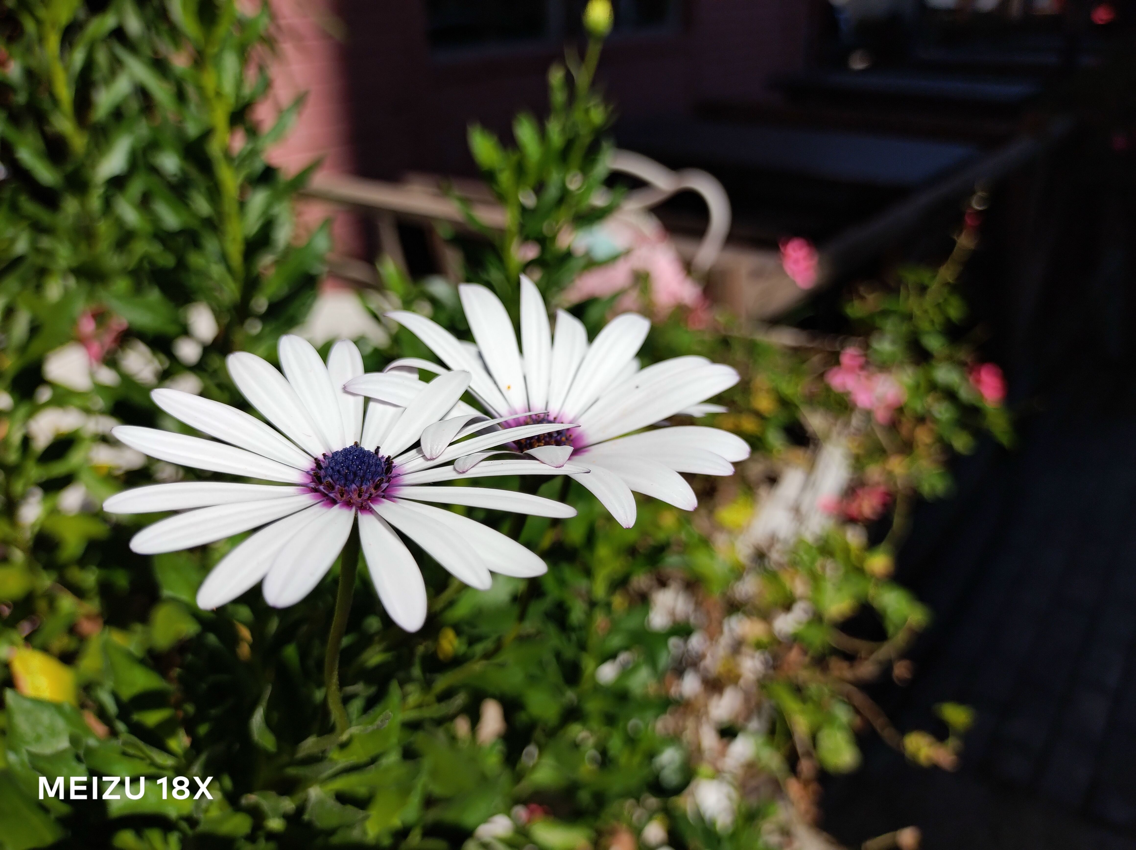 ​魅族18X体验：设计手感依旧在线，骁龙870性能功耗表现均衡