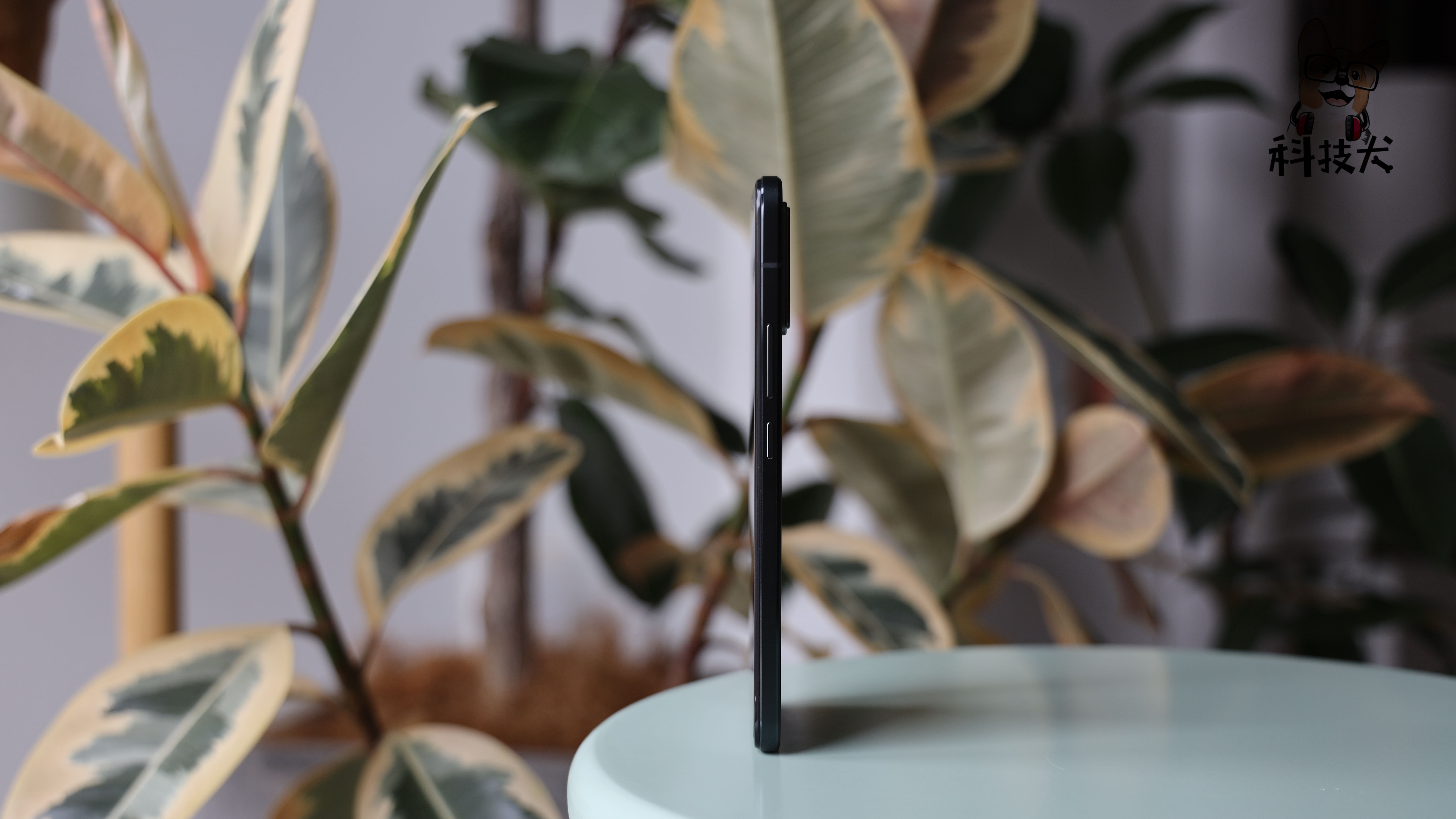 iqooz8拍照和光荣x20,vivoiqoo和光荣5g手机哪个好