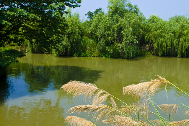 杭州必打卡景点人气榜,杭州旅游必须去的十大景点推荐