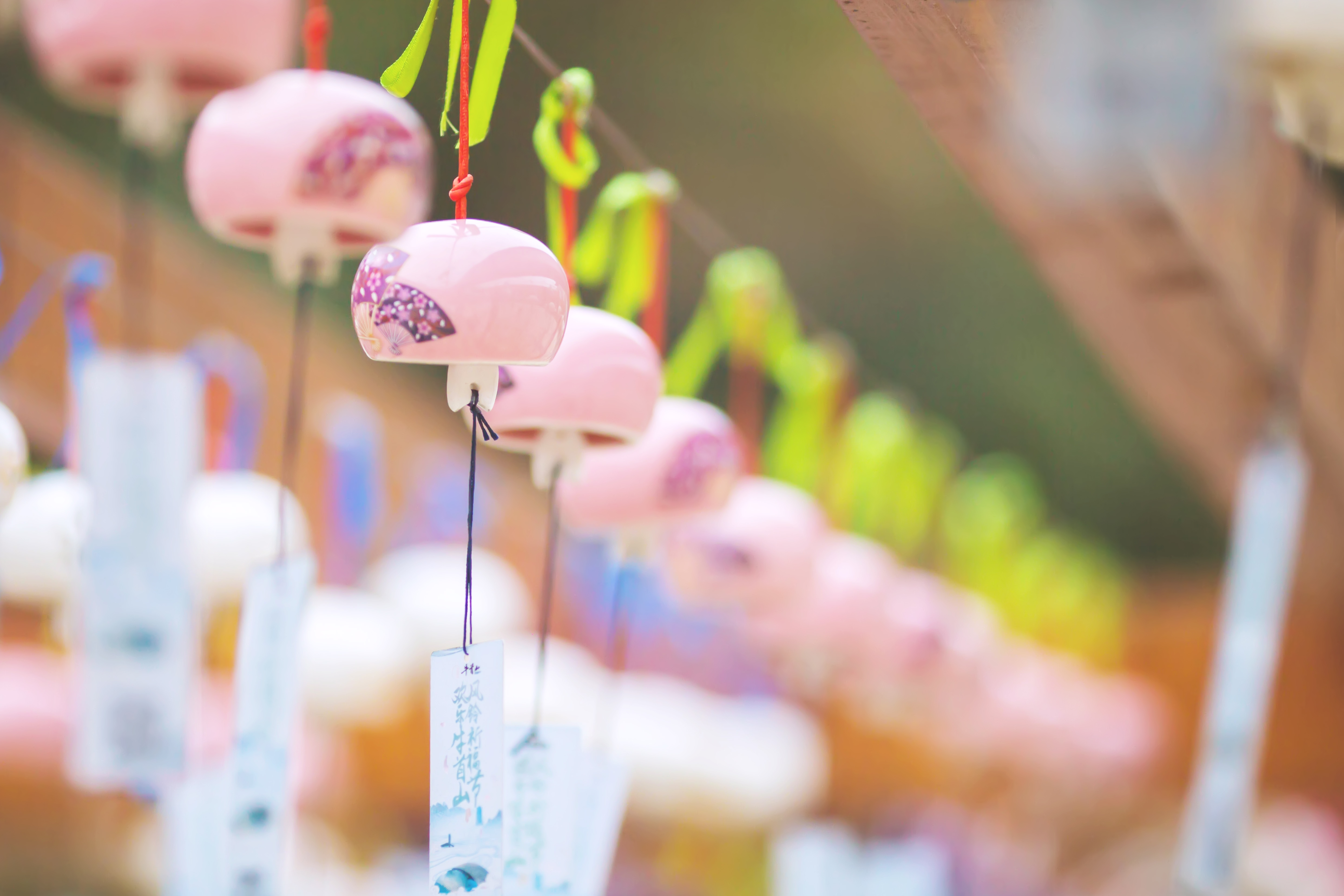 释迦牟尼佛的头盖骨,释迦牟尼25岁等身像之谜