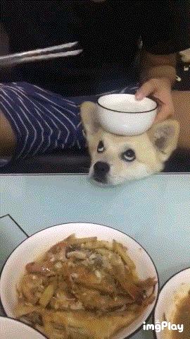 搞笑大哥爆笑图片,搞笑动图走一波