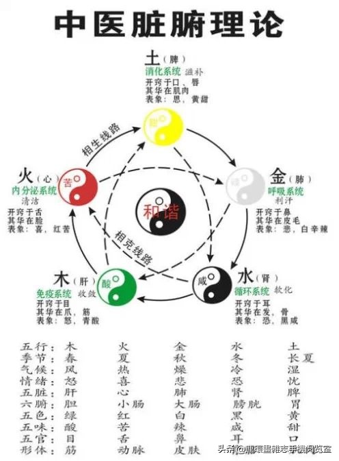 易经诠释风水学原理视频,易经诠释的什么