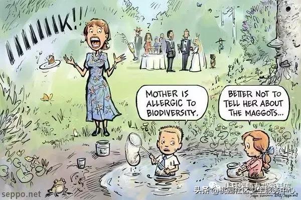 过敏性鼻炎手术的全过程,治疗过敏性鼻炎有效的药