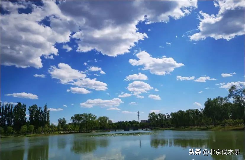 芒种旅游景点推荐,芒种至仲夏节气