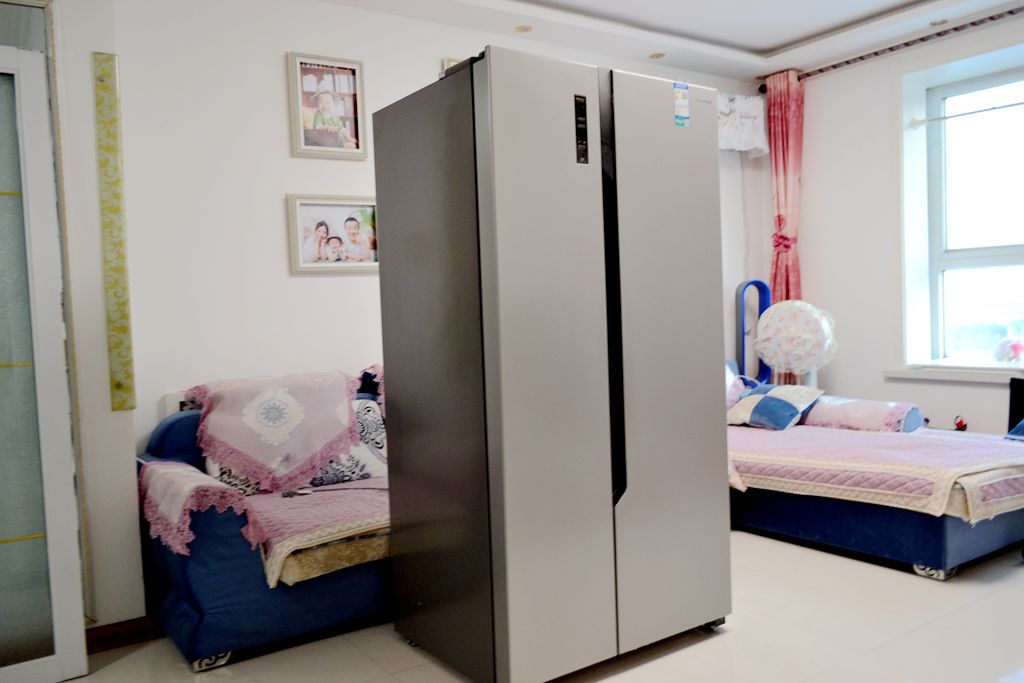 双开门大冰箱价格6万,真正的双开门冰箱价格