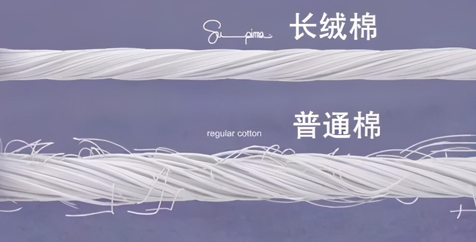 真棉花与假的棉花的区别,真棉和假棉花区别