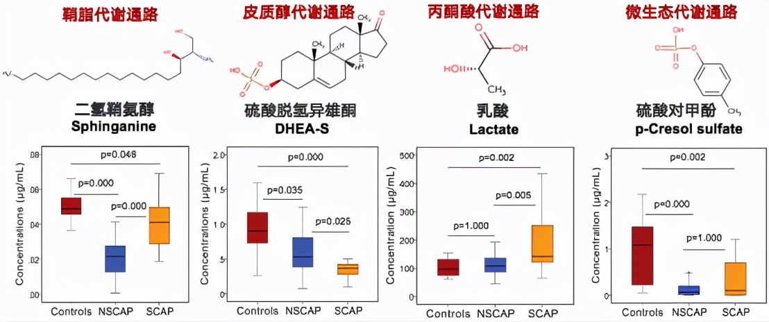 cap病原学特点,cap病原学
