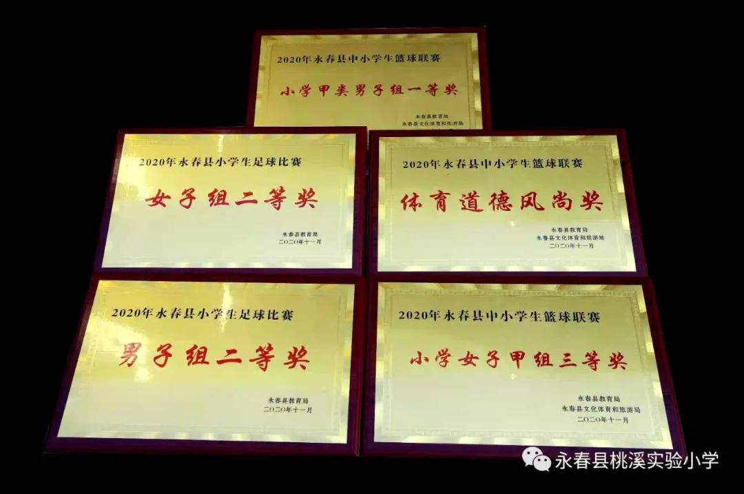 动起来，桃溪少年！——泛阳光体育之舟，展桃溪学子风采