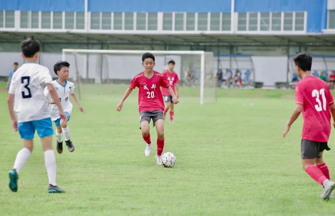 2023年熊猫夏令营,2019熊猫夏令营