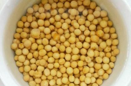 美容养颜补气血喝什么豆浆,豆浆美容养颜的做法和配方