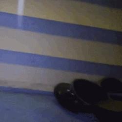 昨晚，我家猫叼来了一件蕾丝内衣…