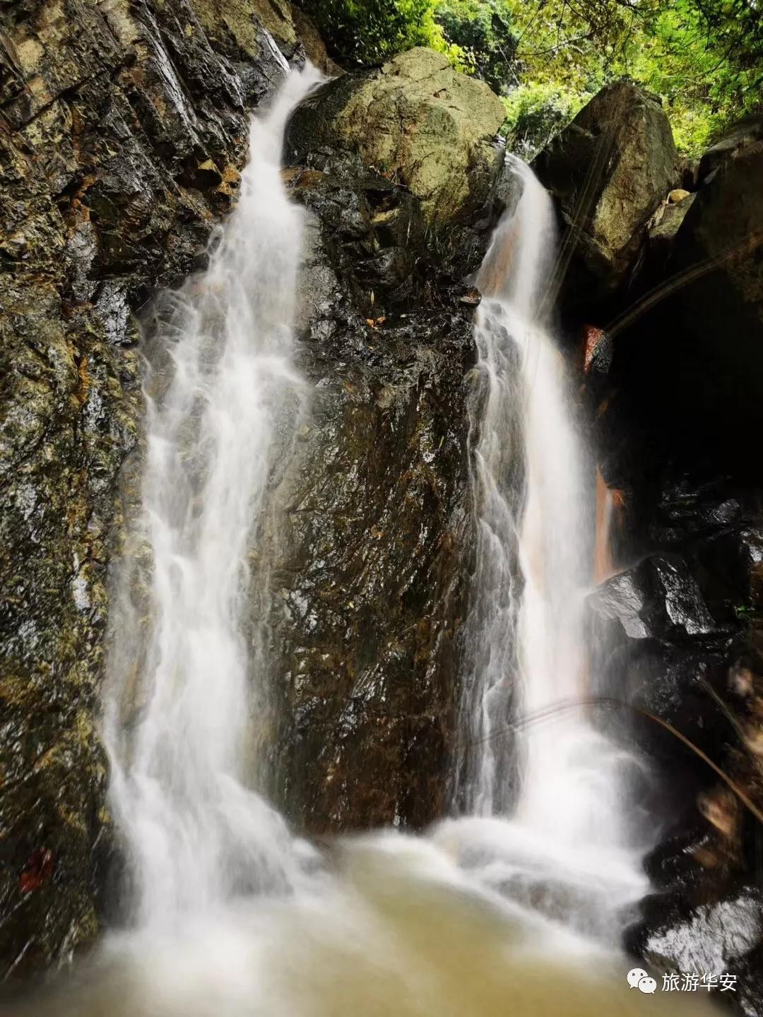 春风十里不如你，我在华安等着您