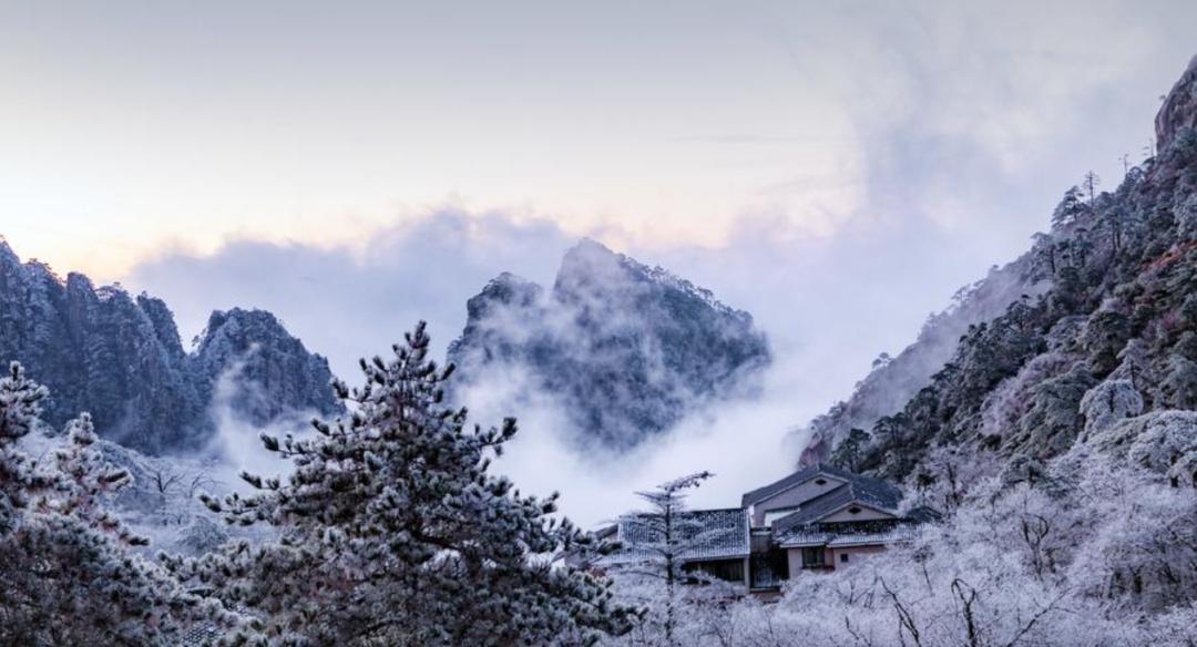 袁明忠|雪压梅枝梅压雪双铺锦地锦铺双（原创回文诗20组）