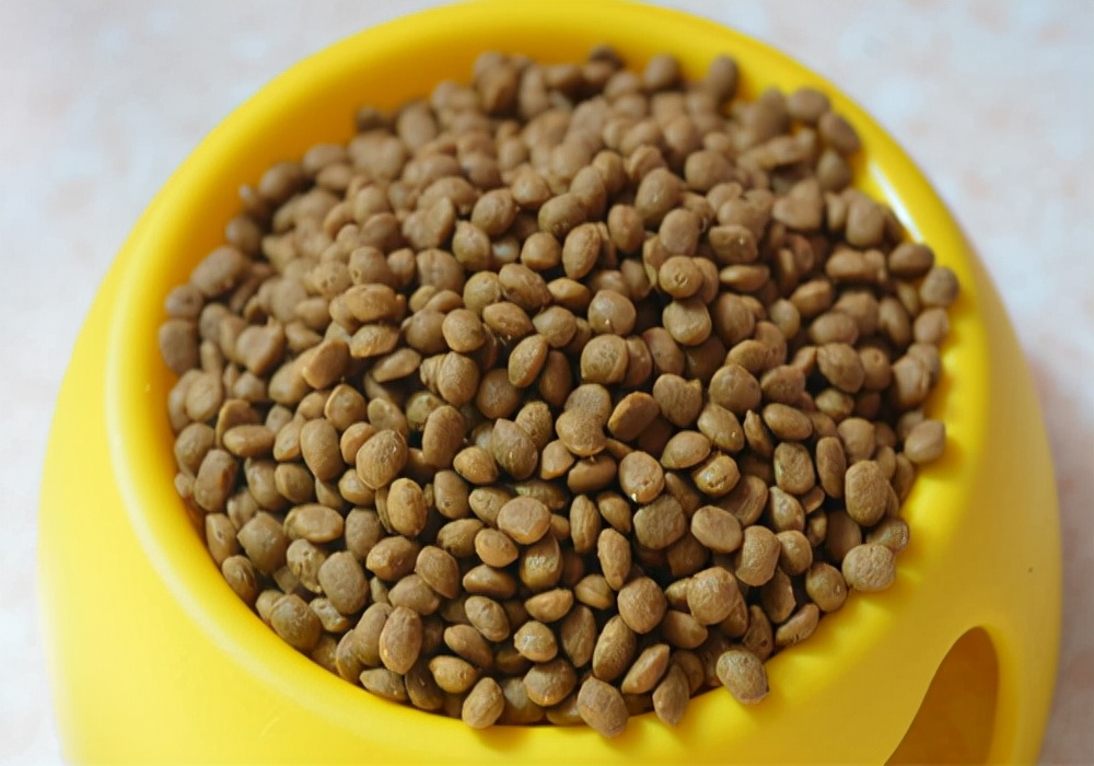 养宠笔记狗狗拉稀怎么回事,养殖场狗狗吐白沫治疗方法