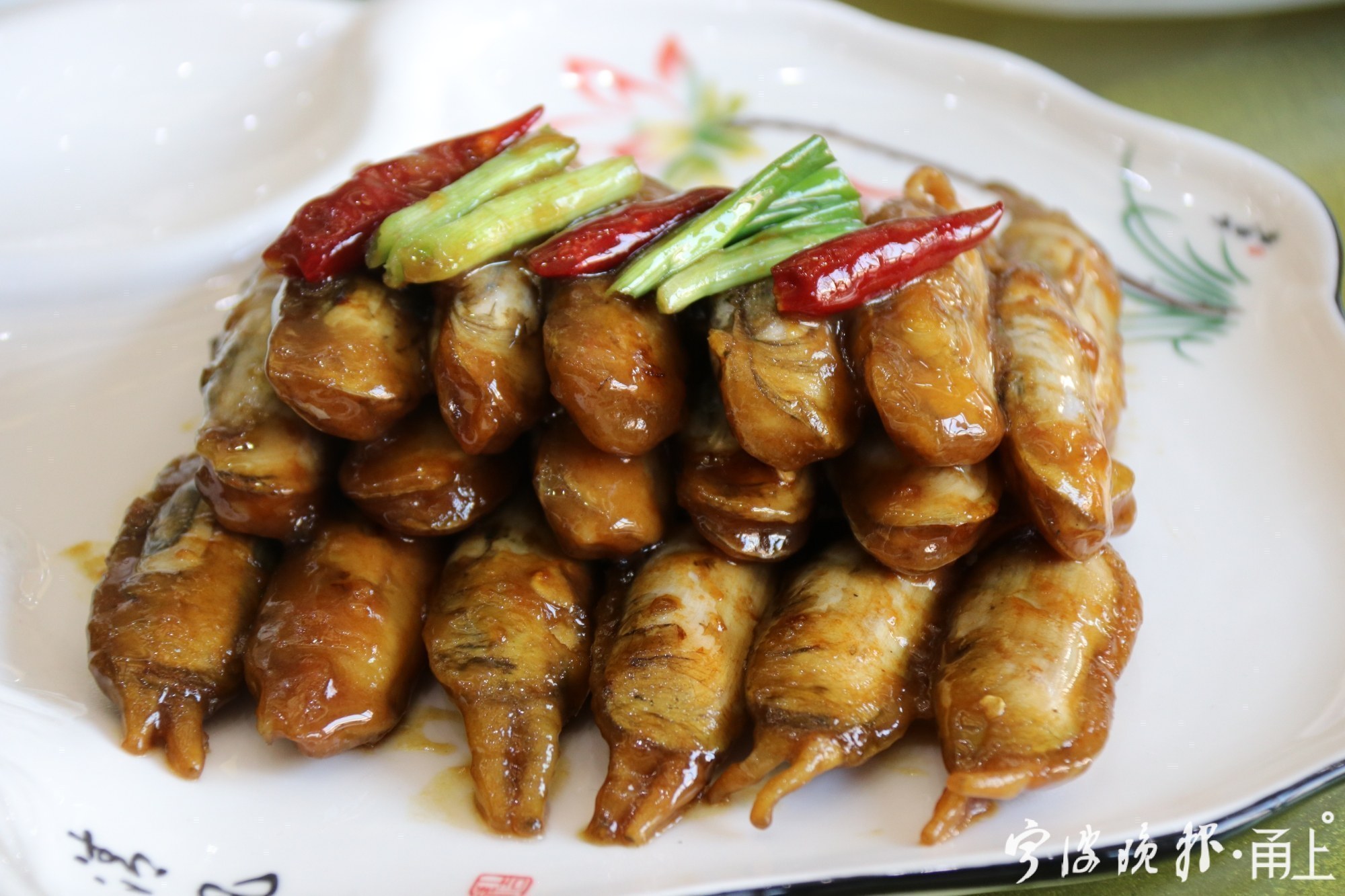 陈晓卿深夜造访宁波，来跟这种小海鲜说再见！传说它是龟兔赛跑后的爱情结晶……