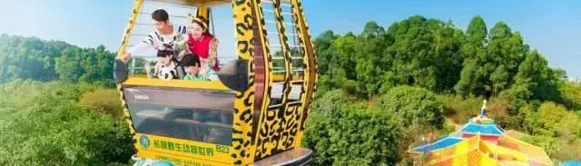 暑假掂过？种草广州长隆野生动物世界！零距离接触动物