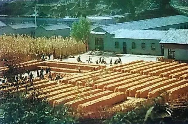 农业学大寨大寨村现况,农业学大寨指的是哪个大寨村