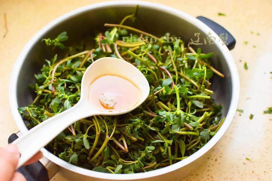 马齿苋是长寿菜你知道吗,马齿苋夏天