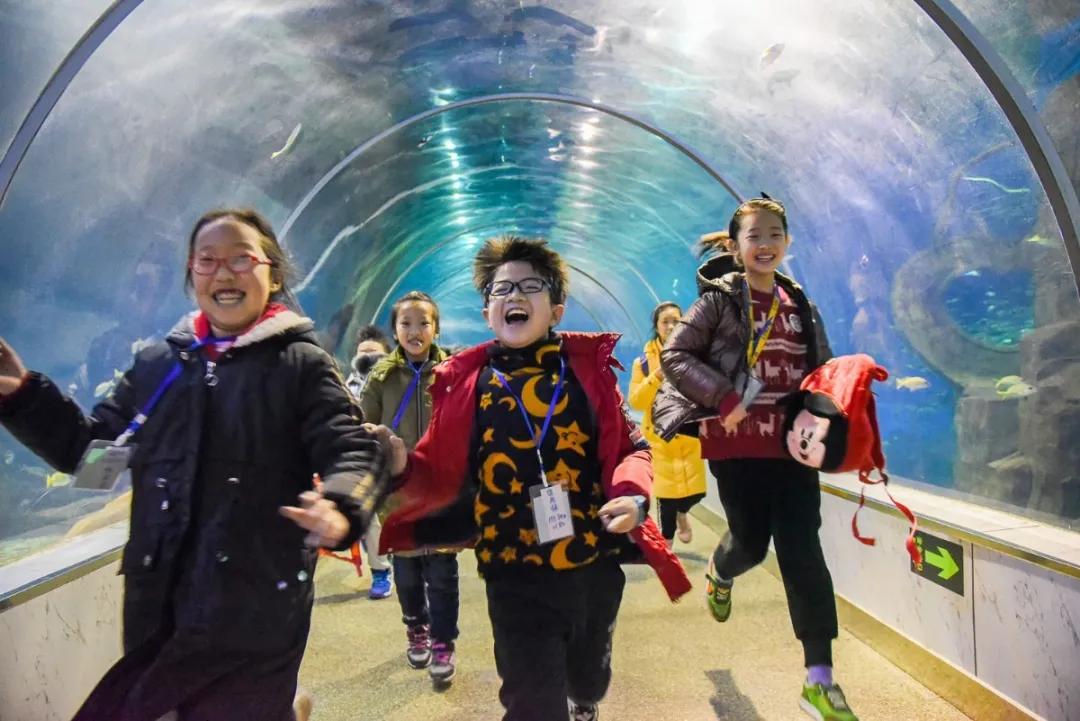 邻家才女初长成，环南一小关逸戈！羡煞个人哩