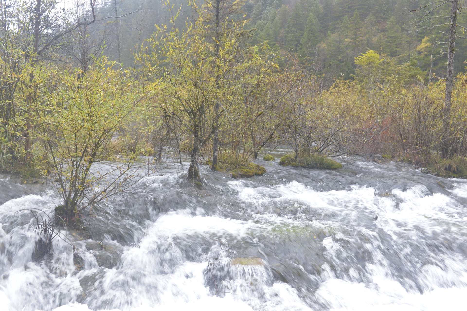 九寨沟梦幻天堂,自驾畅游九寨沟童话世界