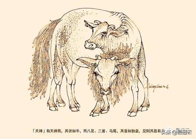 经典传奇湖底谜团水怪,尼斯湖水怪谜团