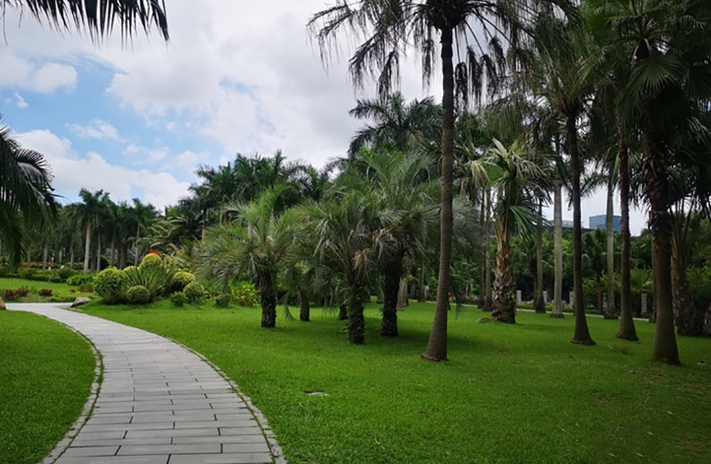 深圳莲花山公园游玩攻略,深圳莲花山公园休闲好去处