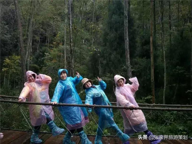 自由行张家界吃住旅游攻略,张家界旅游自由行详细攻略