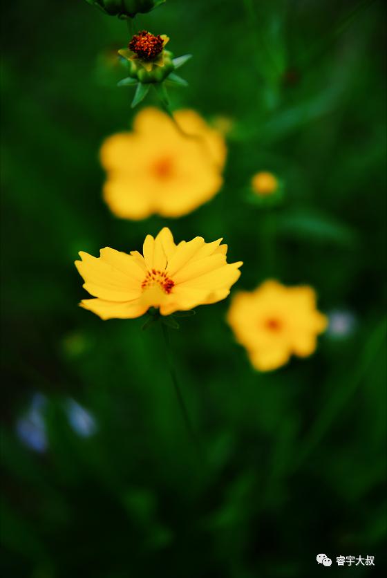 长沙附近有发电风车景点,长沙一日游玩最佳地方免费露营